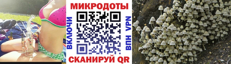 где купить   гидра ТОР  Галлюциногенные грибы Psilocybine cubensis  Карпинск 