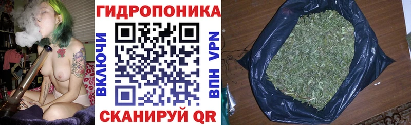Бошки марихуана семена  hydra tor  Карпинск  где можно купить наркотик 